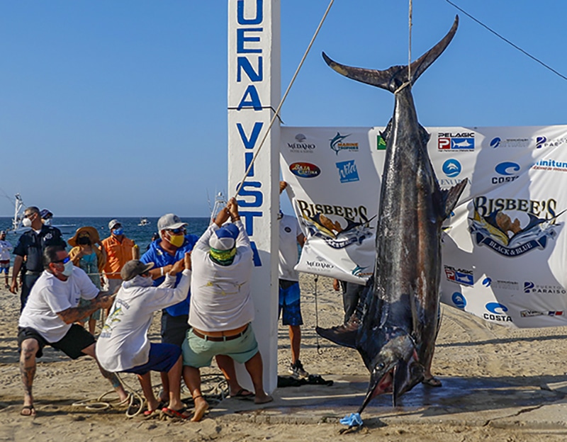 Bisbees Cabo East Cape Fishing tournaments