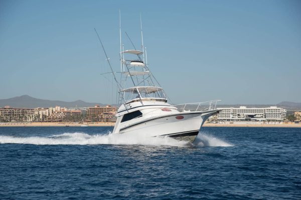 Charter Boats Cabos